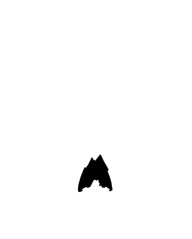 reckless radio logo (white)